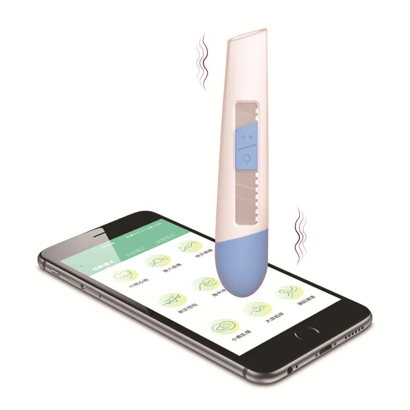 Remote Control Vibrator Clitoral Stimulator For Women
